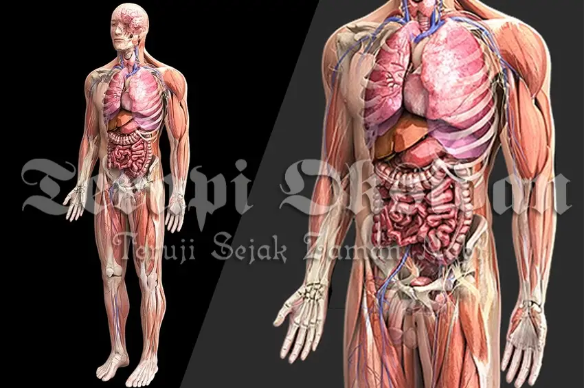 Jangan Sepelekan Hijamah, Ini Adalah Mukjizat